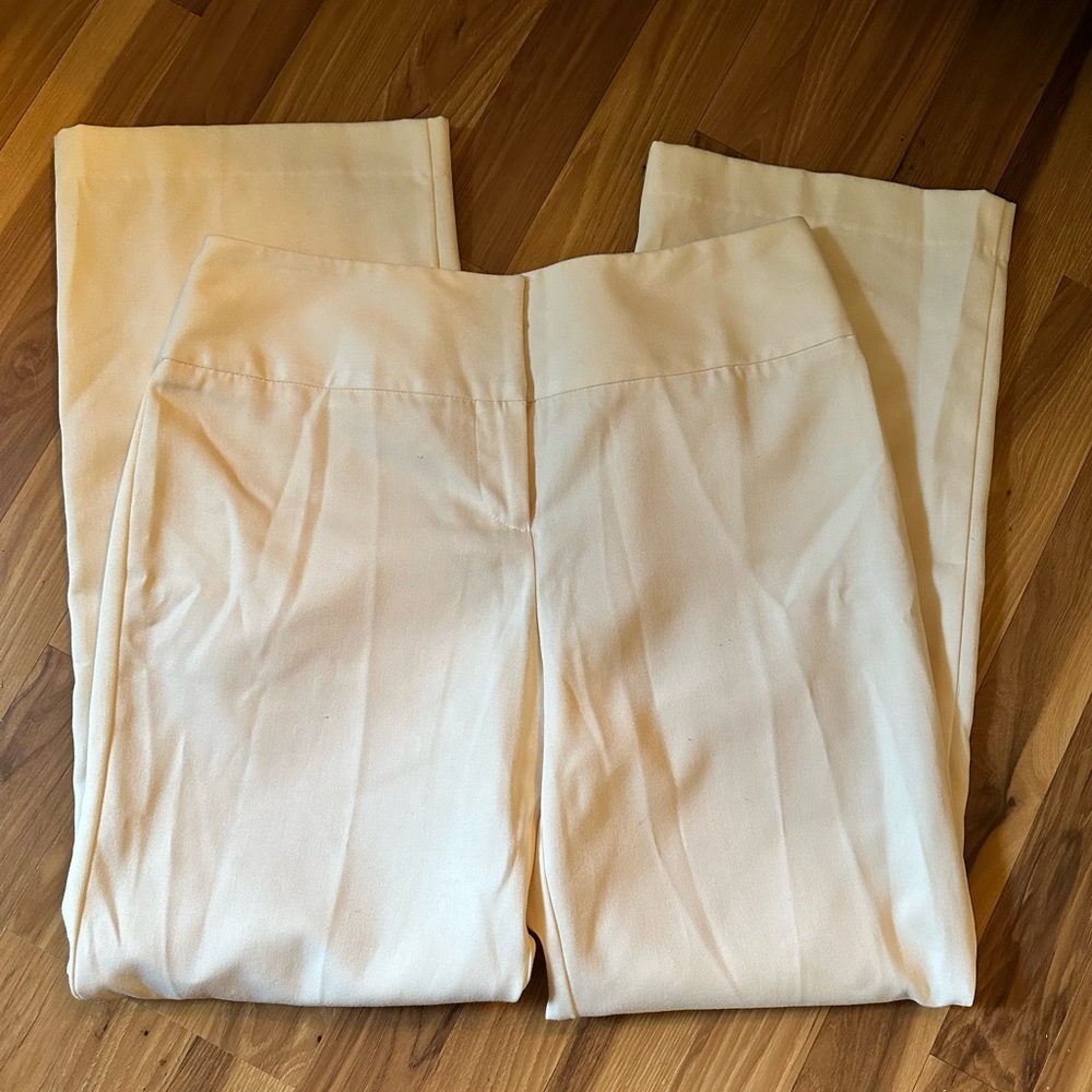 Beautiful pair of Dress pants!
